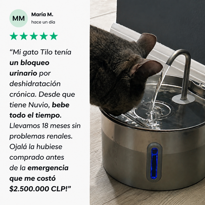 Protege a tu gato de la deshidratación y los problemas urinarios con Nuvio™