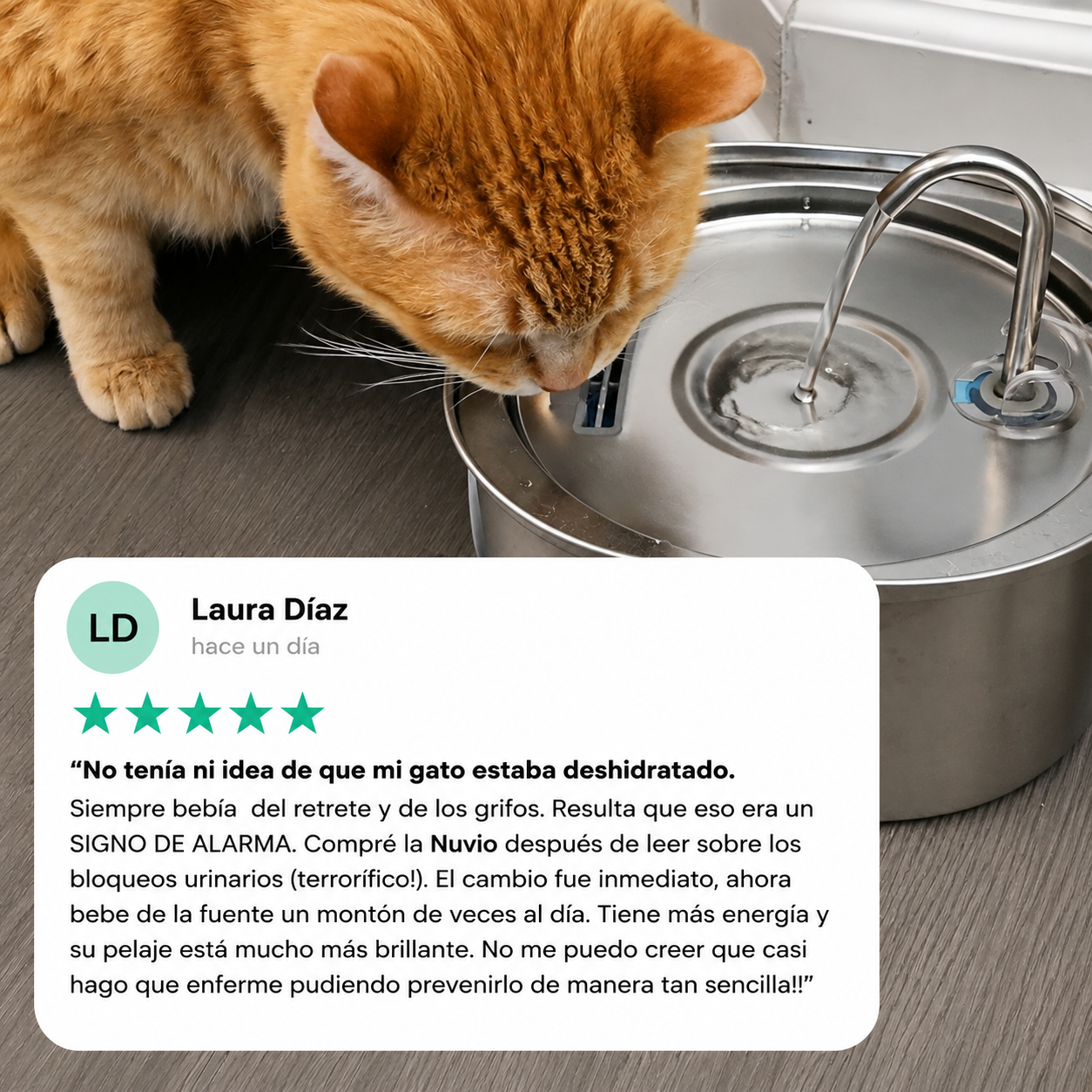 Protege a tu gato de la deshidratación y los problemas urinarios con Nuvio™